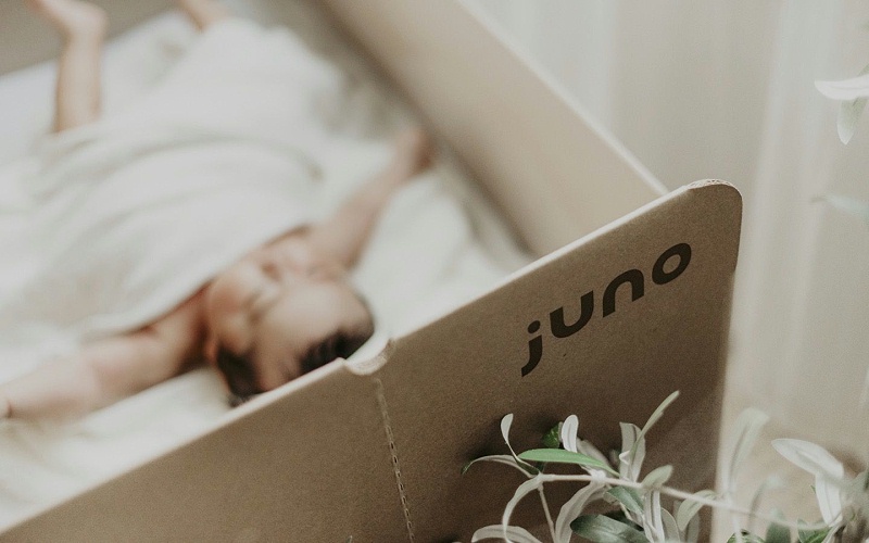 5-the-juno-bassinet_blogLarge